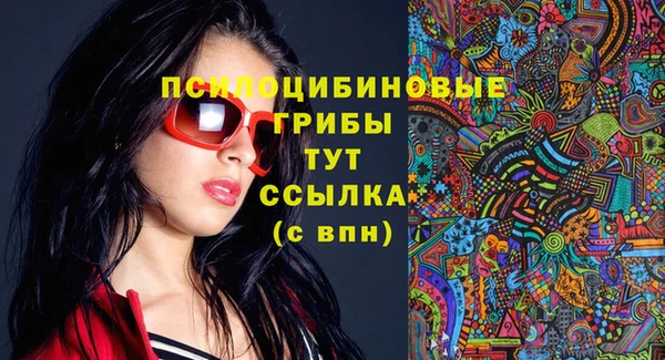 СК Бронницы