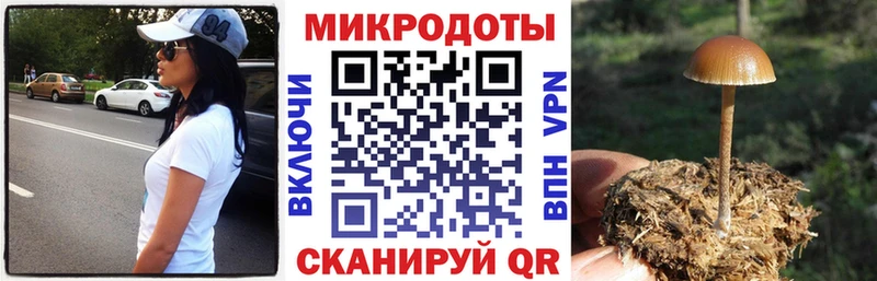блэк спрут зеркало  Чистополь  Галлюциногенные грибы Cubensis 
